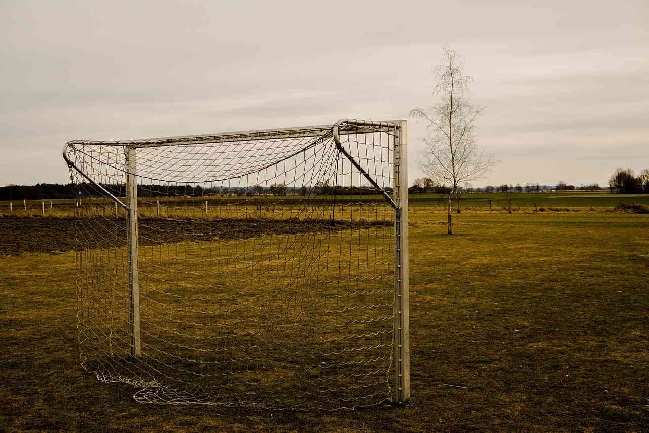 sustainable-goal-feedback